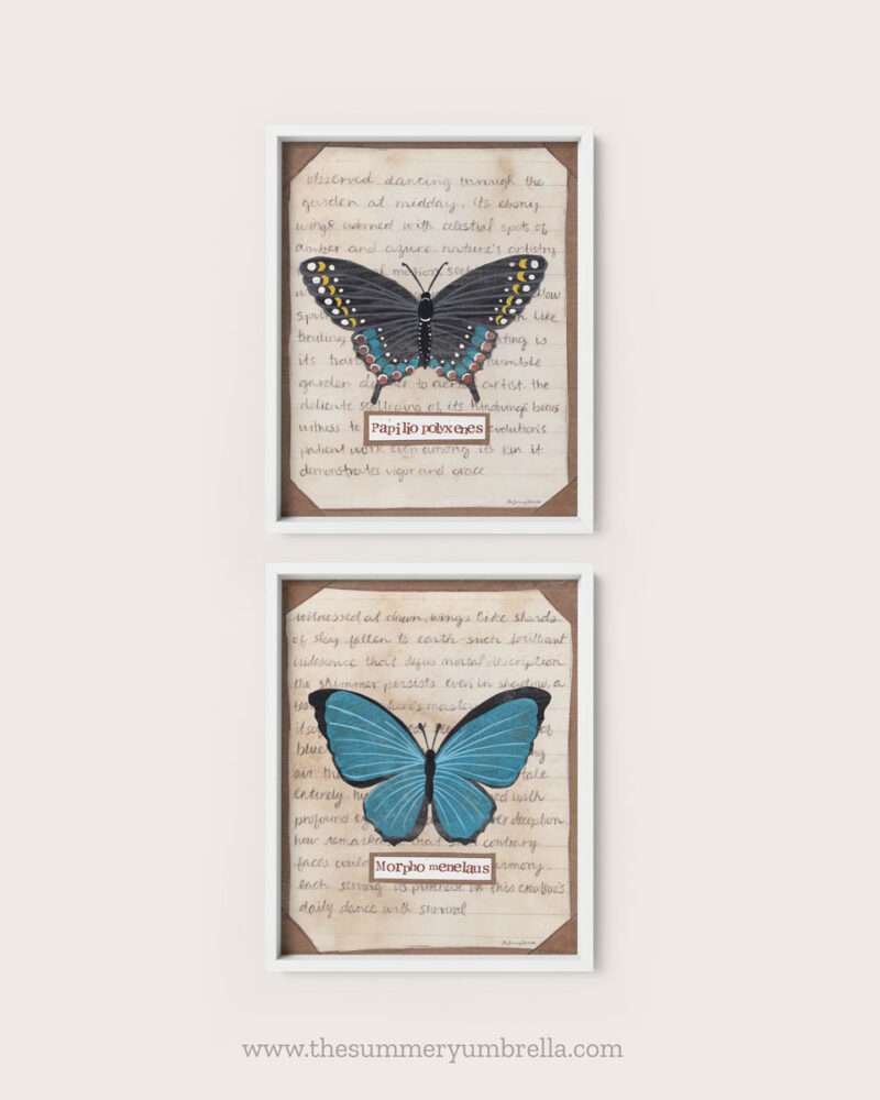 swallowtail butterfly art print with blue morpho art print