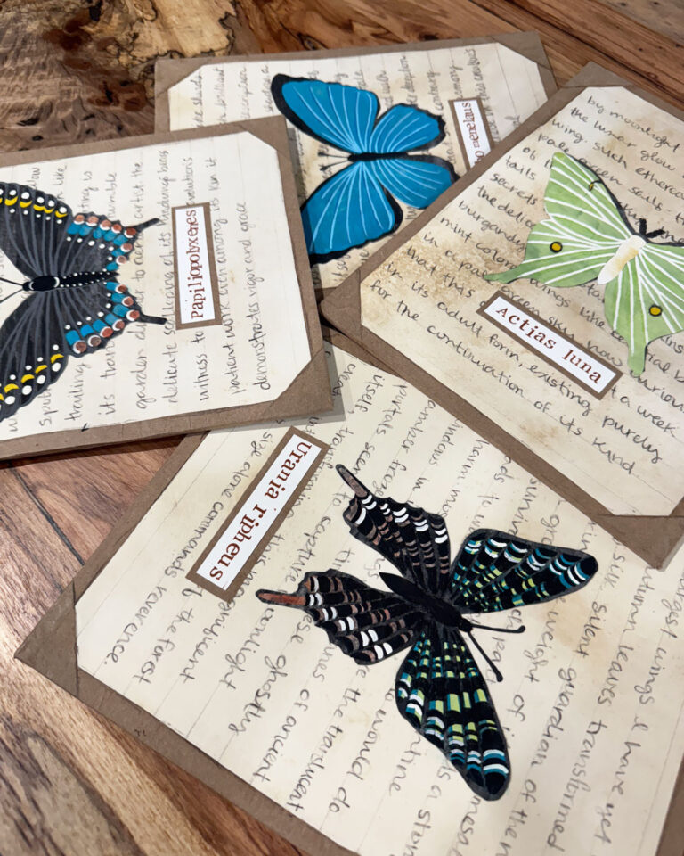 mixed media vintage butterfly and moth collection