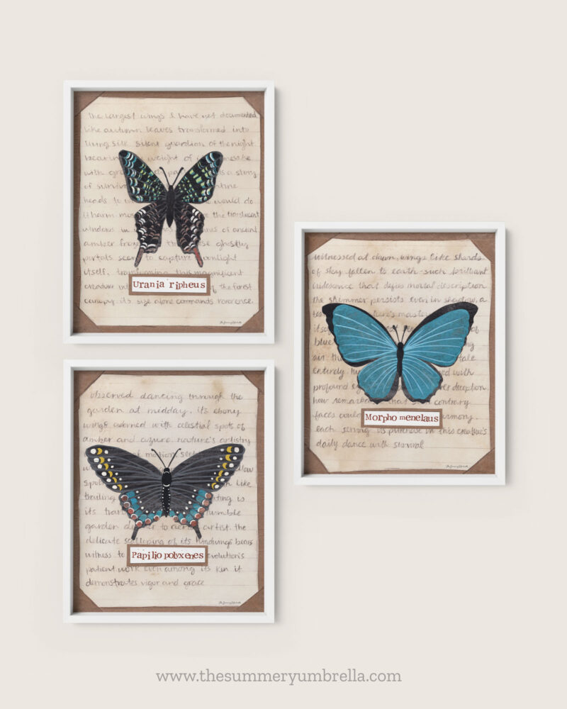 group of butterfly and moth art prints vintage