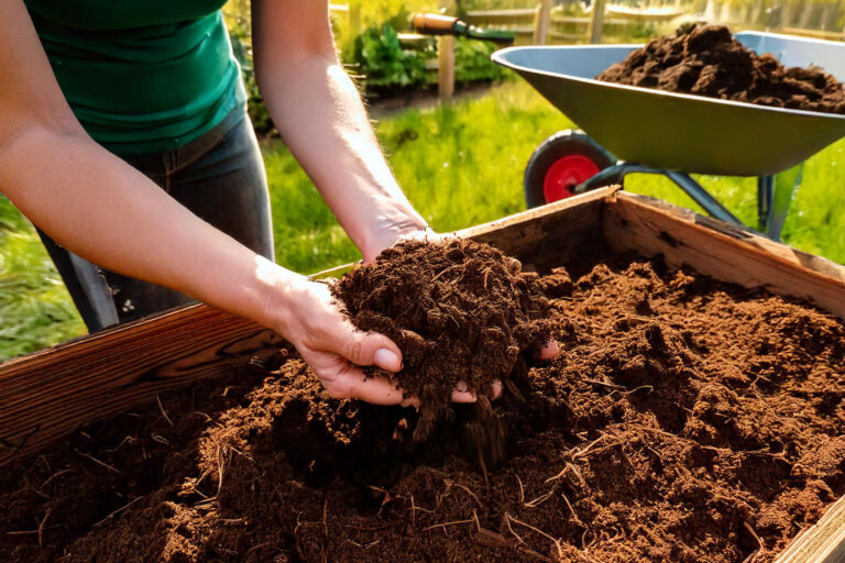 Hands adding compost to raised bed for winter preparation